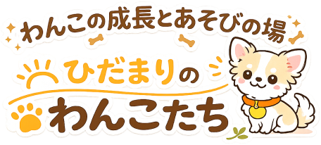 わんこの成長とあそびの場 ひだまりのわんこたち